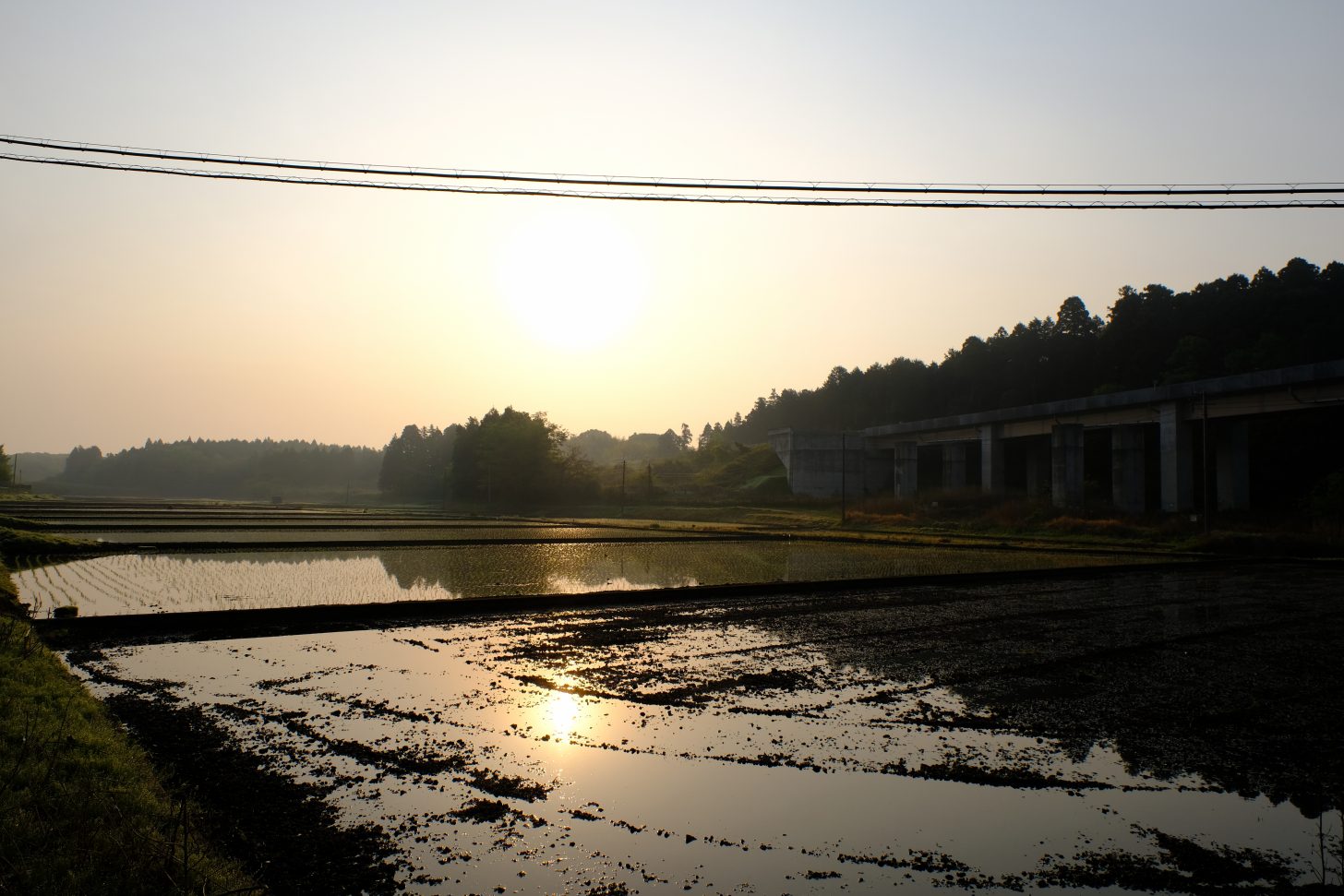 田んぼ 綺麗 風景 反射